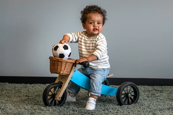 Optional: Weidenkorb 