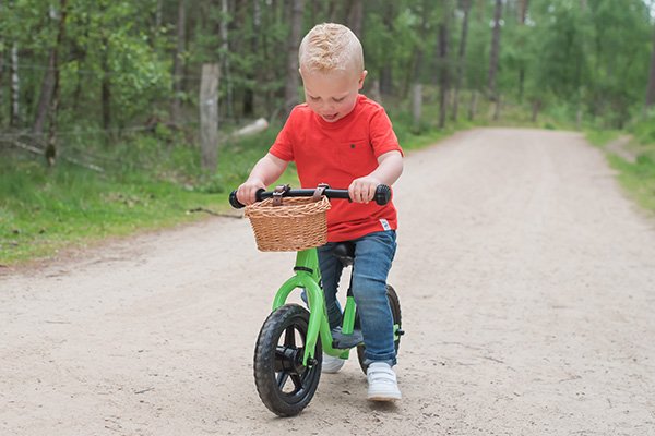 Lux ist 2,5 Jahre alt und 95 cm groß