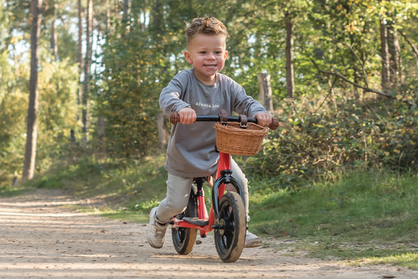 Mees mit dem optionalen Lenkerkorb