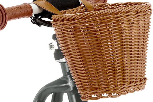 Inklusive Lenkerkorb