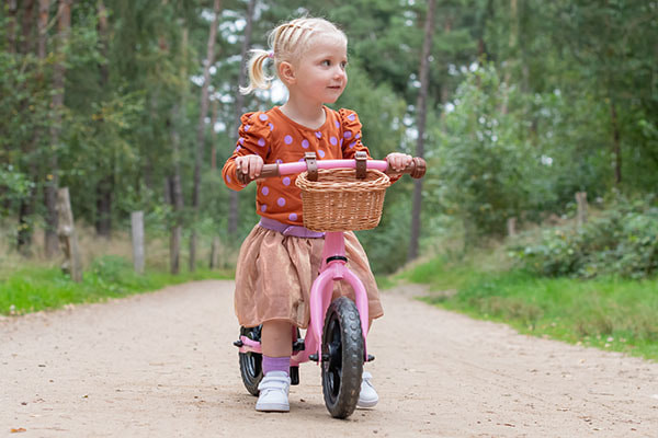 Mit dem optionalen Lenkerkorb