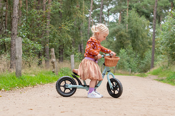 Mit dem optionalen Lenkerkorb