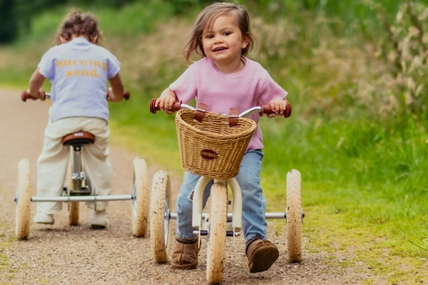 Für das Trybike Steel