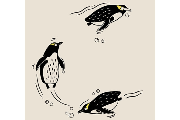 Speciale editie: Neuseeländischer Gelbaugenpinguin